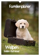 Familienplaner golden - familienplaner:,