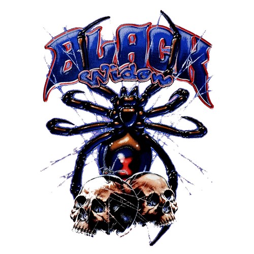 Spinne gothic skull spider - *,