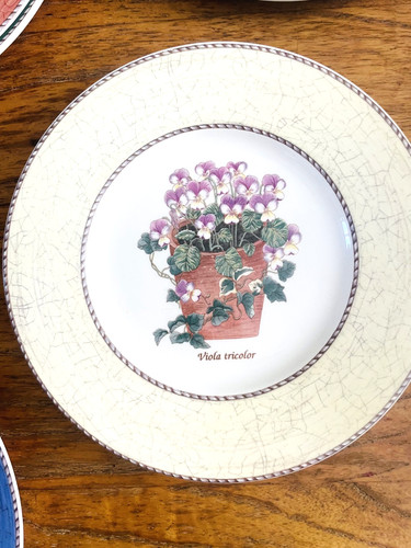 Wedgwood sarah garden viola - sarah's,
