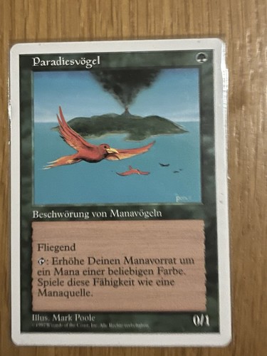 Magic paradiesvögel - paradiesvögel, 5