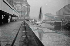 20x30 Künstlerisches Foto