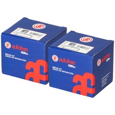 2x AUTOFREN SEINSA D4604