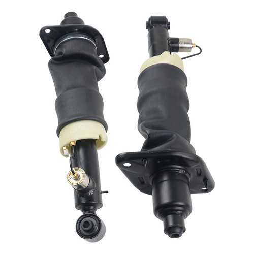 Paar hinten federbein - hinten,