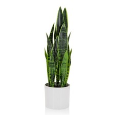 Kunstpflanze Zimmerpflanze Sansevieria Bogenhanf Pflanze künstlich 65cm Topf