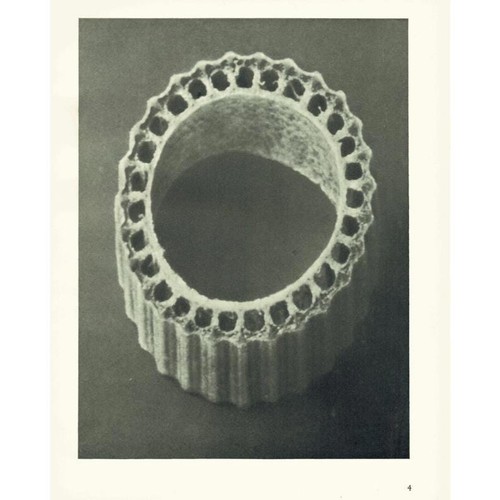 1929 grober schachtelhalm - 1929,