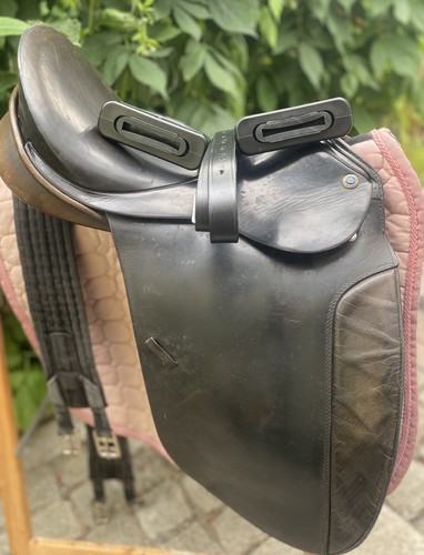 Theo sommer dressage - theo,