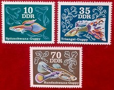 Briefmarken DDR Zierfische Guppys Spitzschwanz Guppy Triangel Rundschwanz 1976