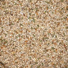 Versele Australische