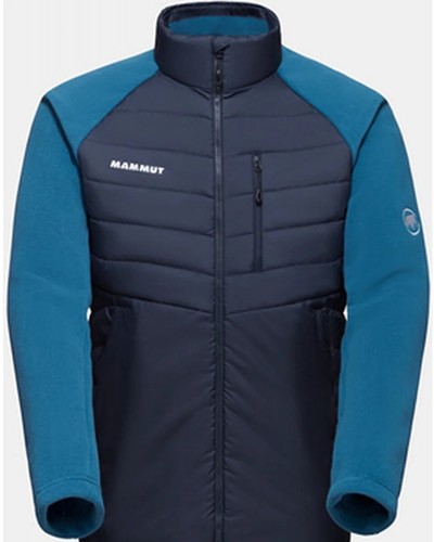 Mammut innominata hybrid - innominata,