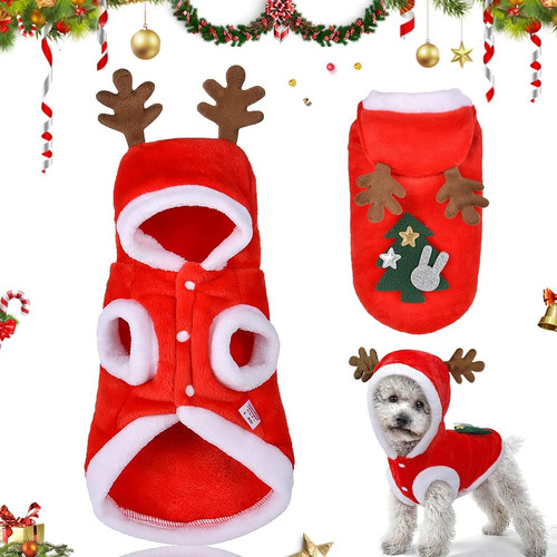 Haustier weihnachtskostüm - haustier,