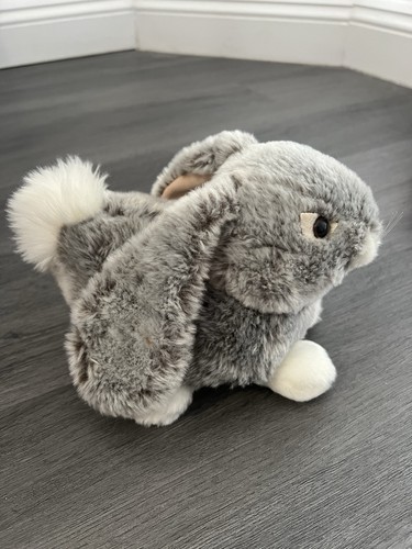 Grauer hase mit - mit, schlaufenohren