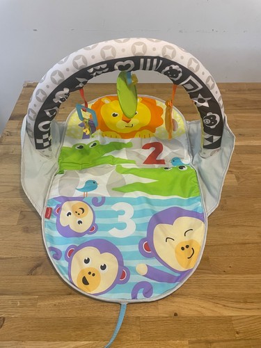 Fisher price playtime baby gym - fisher,