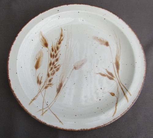 Stonehenge midwinter wild - ,