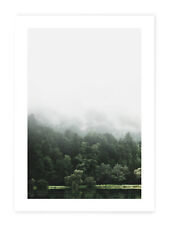 Kunstdruck Poster Wald Nebel