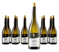 12 x Kellerei Kaltern Soll