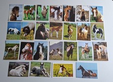 25 AK Pferdepostkarten