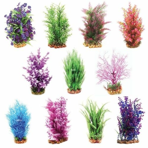Aqua one aquarium pflanze - aqua,