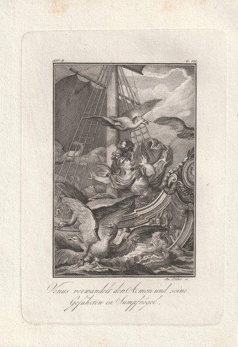 Ovid metamorphosen venus - ovid,