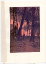 1899 orig. Lithographie