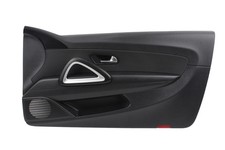 Türverkleidung vorne rechts