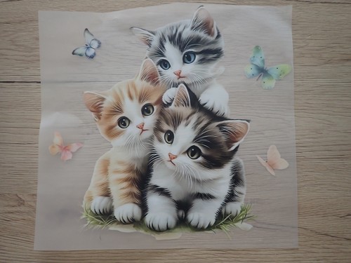 Bügelbild katzen babys - katzen,