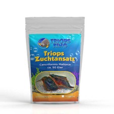 Triops Cancriformis Mallorca Zuchtansatz Urzeitkrebse-Eier im Sand-Gemisch