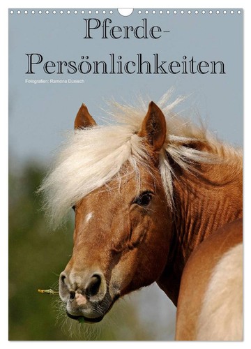 Pferde persönlichkeiten - pferde-persönlichkeiten,