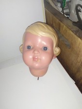 Alter Schildkröt Celluloid