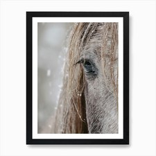 Snowy Horse Kunstdruck gerahmt
