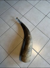 Rinder Natur Jagdhorn, sehr