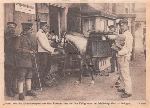 Pakete für die - ,
