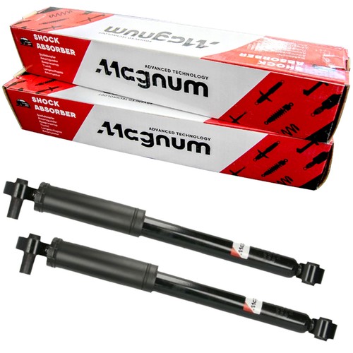 Magnum technology - 2x,