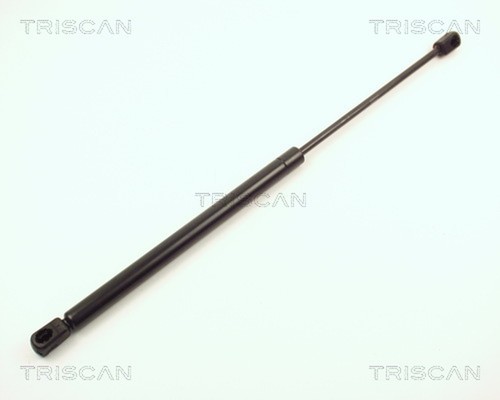 Triscan gasfeder - triscan, 2x