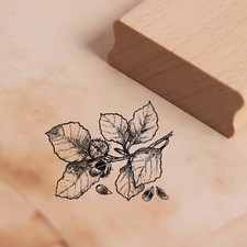 Motivstempel Bucheckern - Stempel Buche Holzstempel 48 x 38 mm