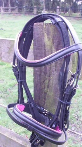 Busse trense größe shetty - busse,
