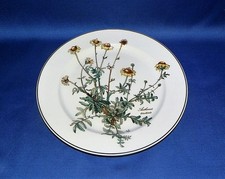 Speiseteller ohne Wurzel 24 cm