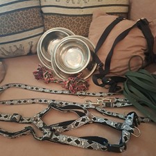 Hunter Hundegeschirr + Leine +  Näpfe + Langlauf-Schleppleine, Autogurt, Spielz.