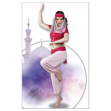 ORIENTALISCHE TÄNZERIN KOSTÜM Karneval Fasching Party Harem Dame Orient  36 / 38