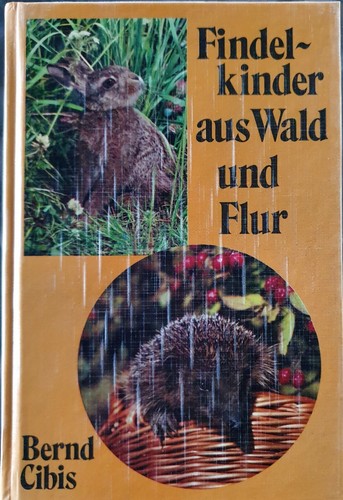 Findelkinder aus wald - findelkinder, und