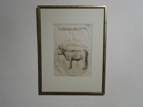 Orig kupferstich mit - orig.(1699),
