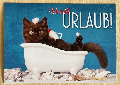Postkarte anlasskarte katze - anlasskarte,