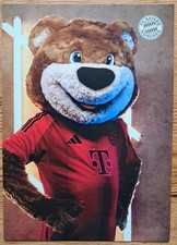 Berni Maskottchen Orig