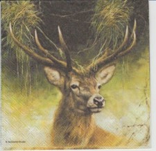 3 Servietten ~ Stolzer Hirsch Reh Wildtier Wald Deer Geweih 