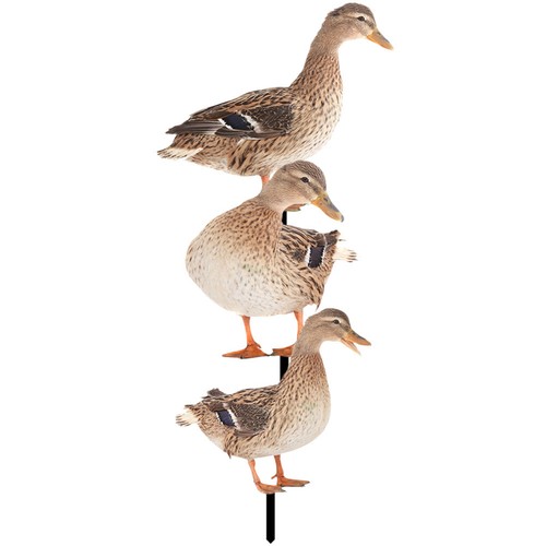 Pcs enten gartenstecker - 3,