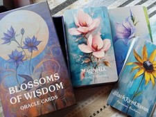 4 hochwertige ORACLE KARTEN Decks, Energetischer Wahrsager