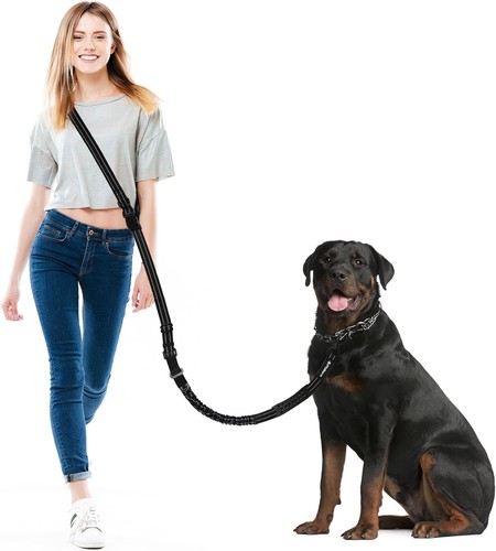 Philorn hundeleine für große - philorn,