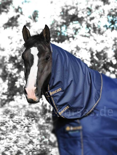 Bucas irish turnout - bucas,