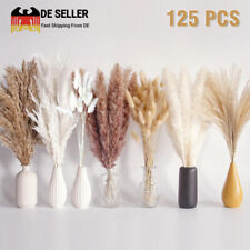 125 Stück getrocknetes