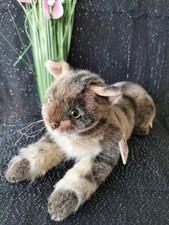 Kösen Wildkatze "Peppi"
