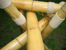 5 Stück Bambus - Stangen